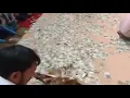 Download Lagu Mujhe miljo jaye thoda paisa