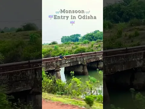 Monsoon Rains Enter In Odisha #nature #camera #cameratest #water #capturethemoment