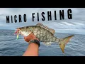 Download Lagu MICRO FISHING JIGGING....🎣‼️