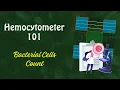 Perfect Guide to Cell Counting in a Hemocytometer Bacterial Cell Counting Step-by-Step
