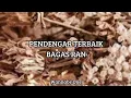 Download Lagu Lirik Lagu Pendengar Terbaik Bagas Ran ~ Wannabe One #pendengarterbaik #bagasran #wannabeone #lirik