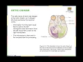 OpenStax Psychology 1e Chapter 5 Sensation and Perception
