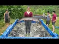 Download Lagu Use 3-Wheeled Truck Harvesting Big Alligator Gar Goes To Market Sell - Farm Life