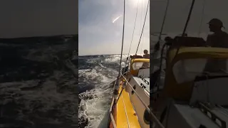 Downwind Sailing