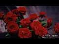 【純音樂】潘瑋柏 我不怕