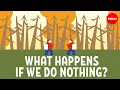 Download Lagu What Earth in 2050 could look like - Shannon Odell