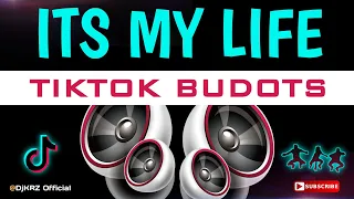 Download Its My Life ( KRZ Budots ) MP3