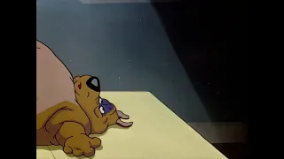 Chow Hound Weight Gain