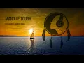 Mano Le Tough - Energy Flow (DJ Koze Miles and More Remix) SOMNAMBULIST