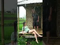 Download Lagu Suara hujan deras untuk relaksasi di luar ruangan #rain #beautiful #heavyrain