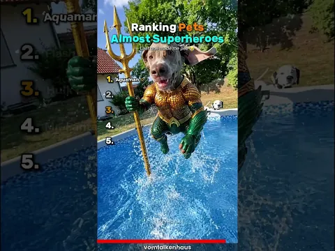 Ranking Pets Almost Superheroes🦸‍♂️