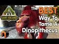ARK How To TAME A DINOPITHECUS Baboon In Real Time Step By Step