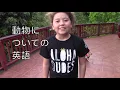 ペットの話を英語でする：ハッピー英会話レッスン１３６