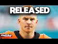 The Truth about Andy Dalton s NFL Career RANT