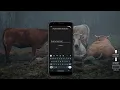 Schedule Notification in 5 minutes using Flutter s Awesome Notification
