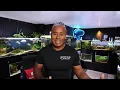 5 Reasons Your Aquarium Looks Cloudy (And How to Fix It!)