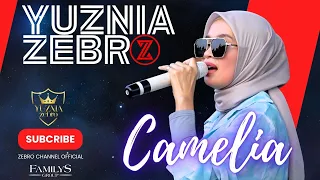 camelia cover yuznia zebro