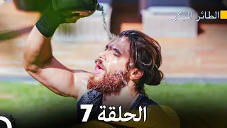 مسلسل الطائر المبكر الحلقة 7 Arabic Dubbed FULL HD 