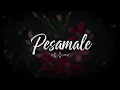 Pesamale | Tamil Songs | Love Songs Tamil | Siri Xander | Tamil Love Song 2026
