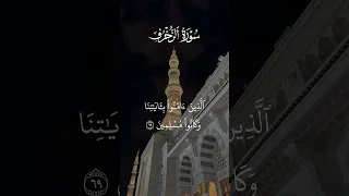 يا عبادي لا خوف عليكم اليوم ولا انتم تحزنون   سورة الزخرف   القارئ الشيخ المنشاوي رحمه الله        دندنها
