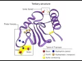tertiary structure