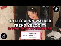 DJ EVERYTHING YOU WAND IN GOLD DJ LILY ALAN WALKER TREND VELOCITY VIRAL TIKTOK TERBARU 2025