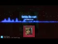 Ah yalan dünya (SeldaBağcan) X REMİX (prod.zeuz-ofc)