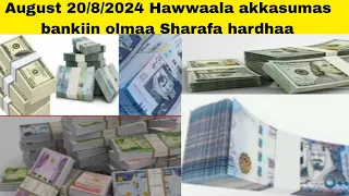 August 20 8 2024 Hawwaala Akkasumas Bankiin Sharafa Guyyaa Hardhaa 
