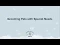 Grooming Special Needs Pets PetSmart