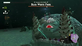 The Legend of Zelda Tears of the Kingdom Part 374 - Apapes Lightroot