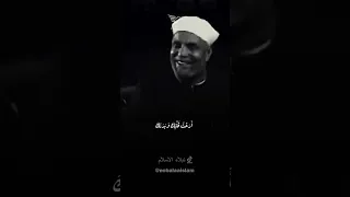 خلقتك للعبادة فلا تلعب الشعراوي 