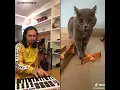 The Kiffness X Alugalug Cat 2.0 (Please Go Away)