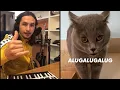 Download Lagu The Kiffness X Alugalug Cat 2.0 (Please Go Away)