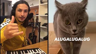 The Kiffness X Alugalug Cat 2 0 Please Go Away 