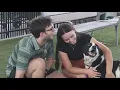 Waco animal shelter facing critical space crisis