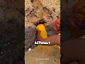 Download Lagu This Strange Yellow Soil Can Make You Rich 💰😱 | #amirkhanvoice