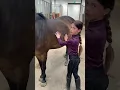 Download Lagu Lieve pony kiki🖤 #equestrian #horse #paardenvlog #paardrijden #pony #manege