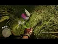 Discovering All Queen s Orchid Locations in the Swamps of RDR2