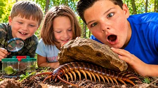 Caleb’s BUG HUNT… Something Was Hiding Under This Rock!