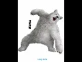 Download Lagu Alll Tekken 5 Dark Resurrection Characters #game #viral #gaming #anime #like #subscribe #shorts
