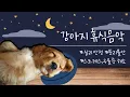 10 HOURS of Deep Separation Anxiety Music for Dog Relaxation. Deep Sleep Relaxing Dog Music