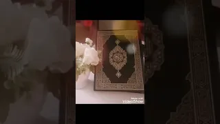 سورة الاسراء بصوت الشيخ محمد صديق المنشاوي بدون اعلانات 