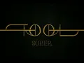 Tool - Sober | Lyrics