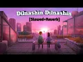 Lagu Dilnashin Dilnashin #lofi use 🎧 Singer- #KK  #skymarkmusic