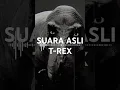 Lagu Suara asli T-rex? #dinosaur #jurassicpark #shorts