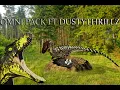 Lagu The BIGGEST Raptor Pack I’ve EVER Seen on The Isle Evrima! | FT DustyThrillz