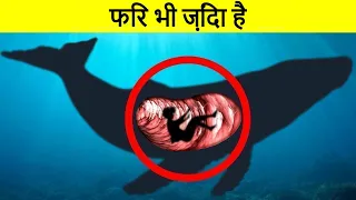 सबसे अजीब जगहों पर मिले लोग – भाग 2 | Impossible Places People Were Found – Part 2