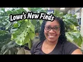 Lowe s New Finds These New Pots Took My Breath Away