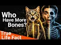 Do Cats Have More Bones Than Humans The Shocking Truth