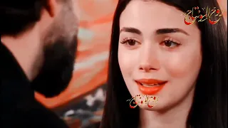 ياسر عبد الوهاب   قلبي جبرني دندنها